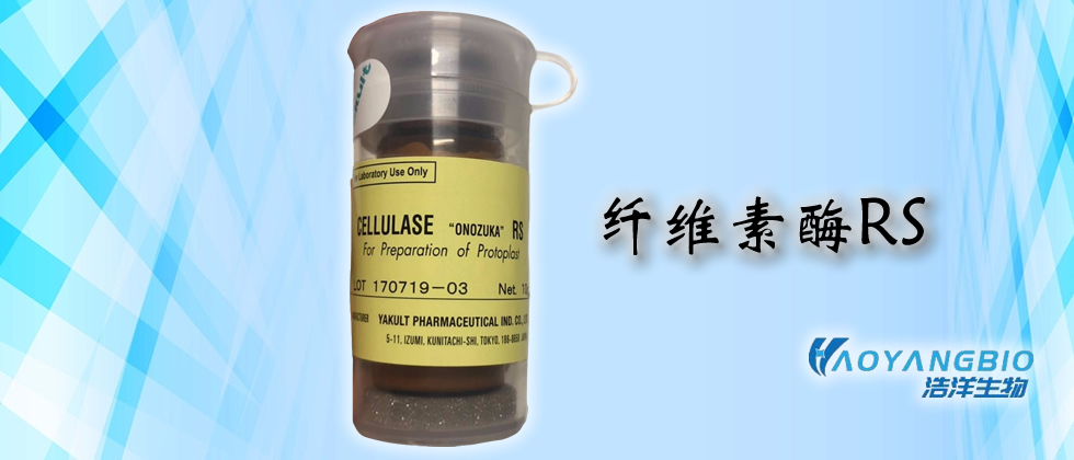 纤维素酶RS